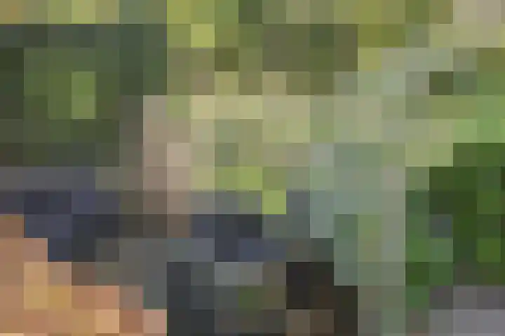 Daniël Stoopendaallaan 4 Maarssen thumbnail 33