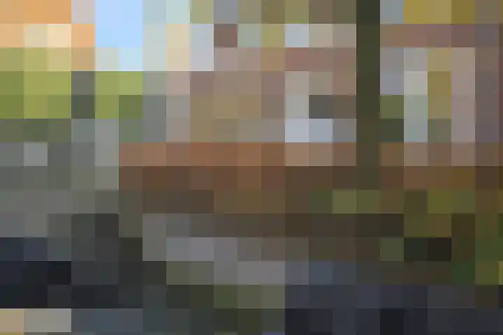Daniël Stoopendaallaan 4 Maarssen thumbnail 35