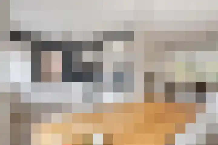 Daniël Stoopendaallaan 4 Maarssen thumbnail 4