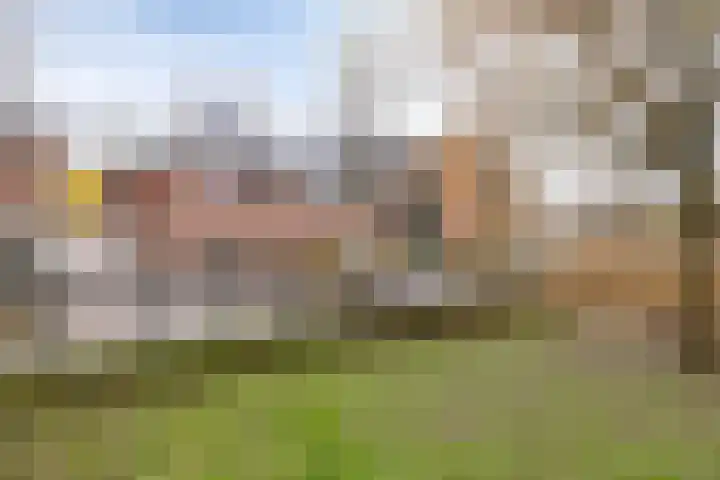 Daniël Stoopendaallaan 4 Maarssen thumbnail 42