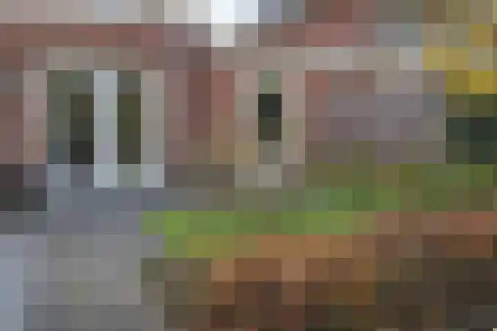 Daniël Stoopendaallaan 4 Maarssen thumbnail 46