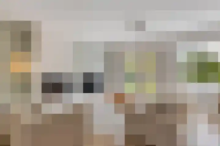 Daniël Stoopendaallaan 4 Maarssen thumbnail 5