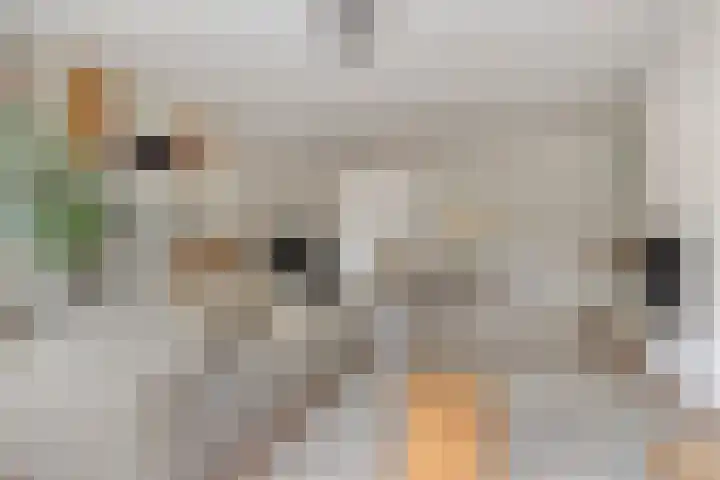 Daniël Stoopendaallaan 4 Maarssen thumbnail 7