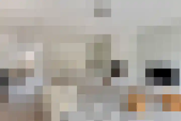Daniël Stoopendaallaan 4 Maarssen thumbnail 8