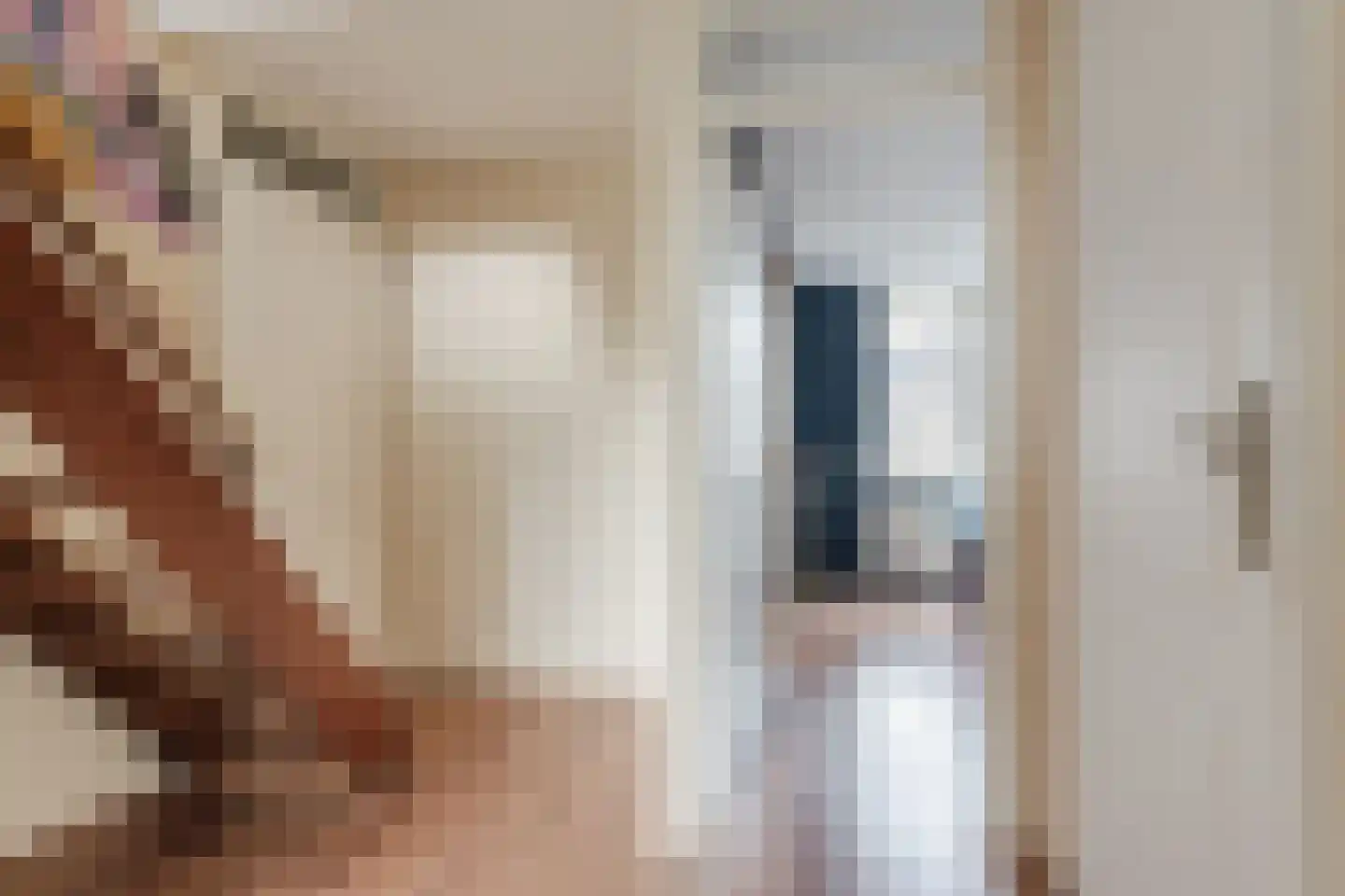 Daniël van de Merwedestraat 29 Hendrik-Ido-Ambacht thumbnail 21