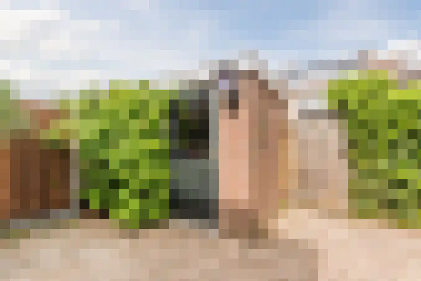 Daniël van de Merwedestraat 29 Hendrik-Ido-Ambacht thumbnail 31