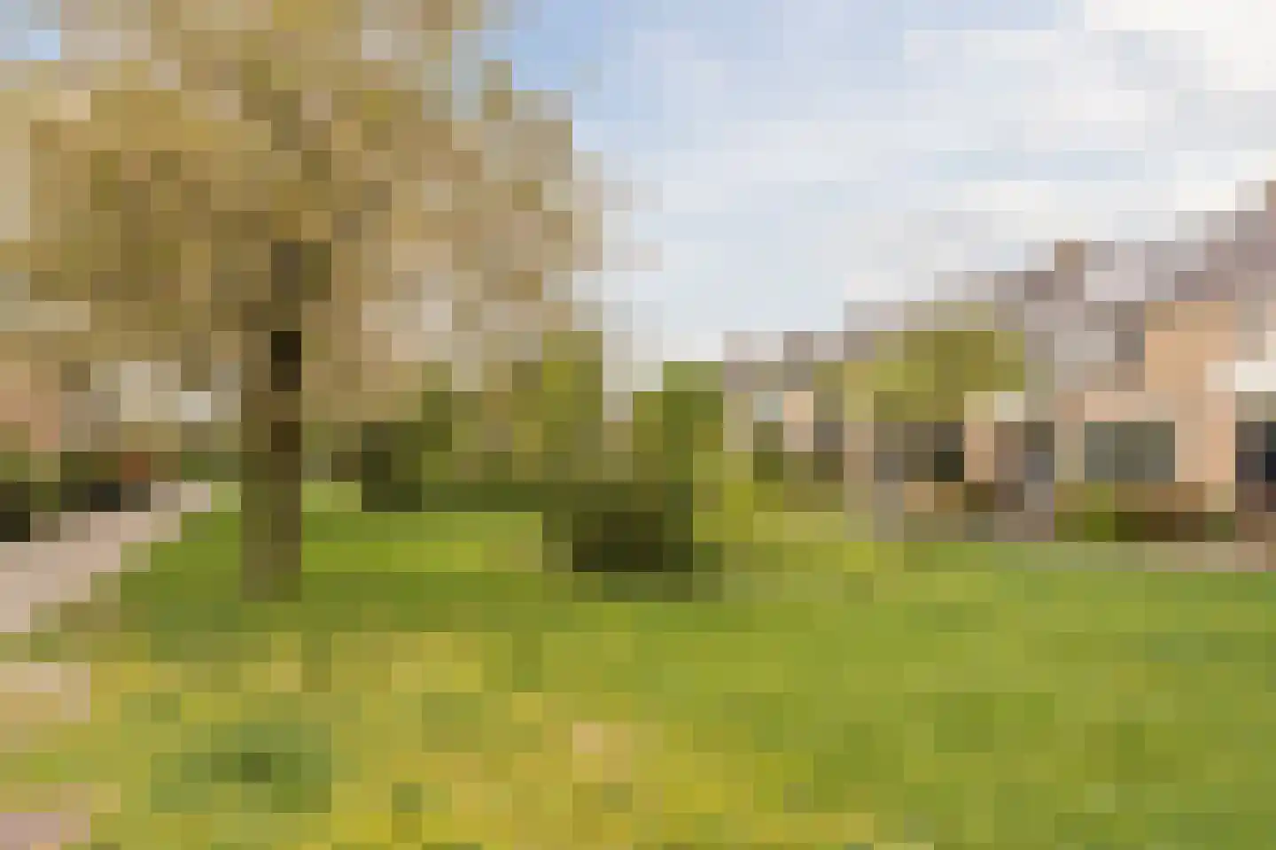 Daniël van de Merwedestraat 29 Hendrik-Ido-Ambacht thumbnail 33