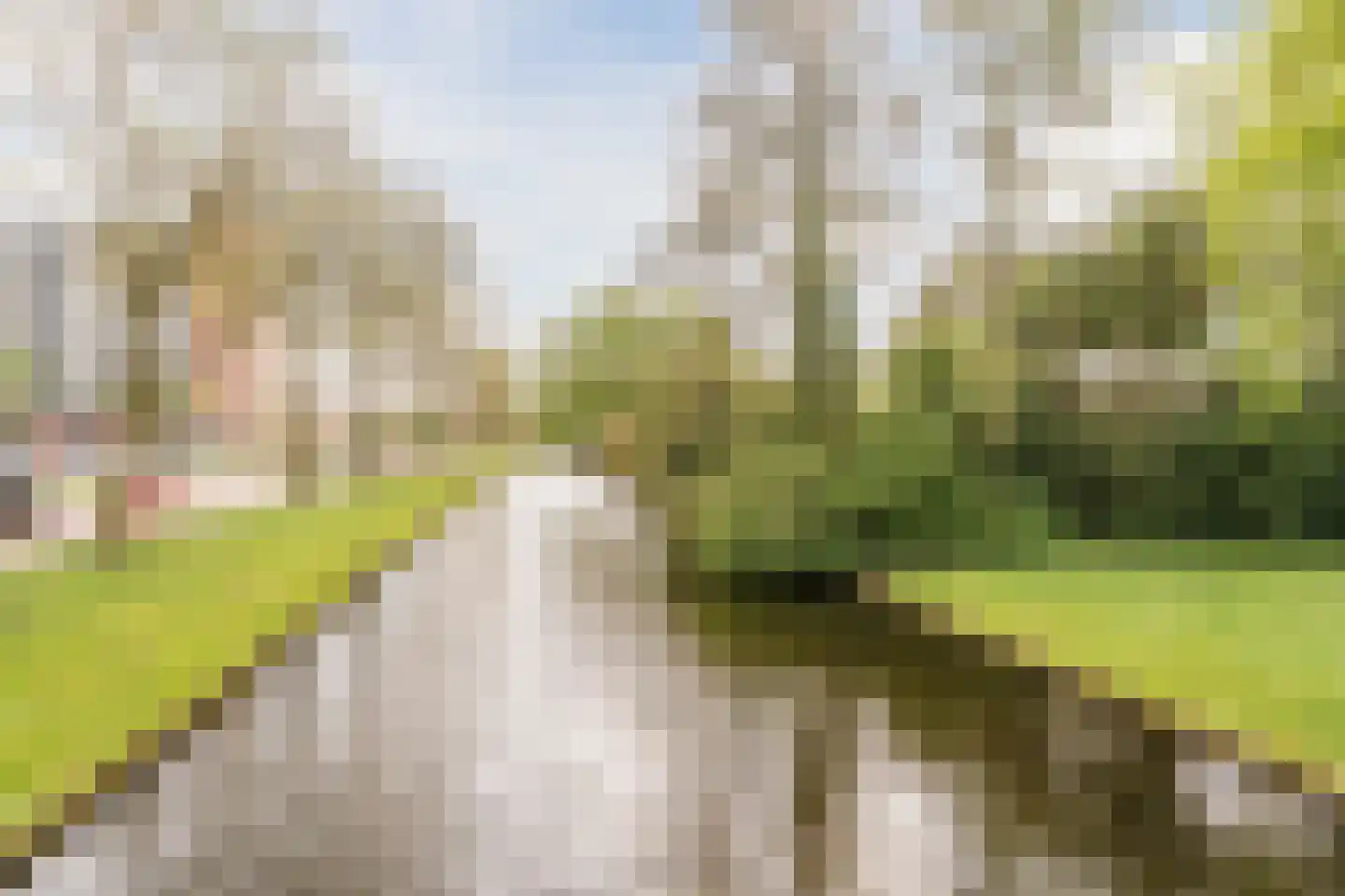 Daniël van de Merwedestraat 29 Hendrik-Ido-Ambacht thumbnail 34