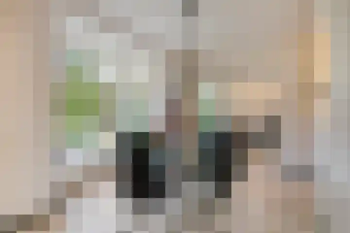 Photo de Daniëlle van Baalen