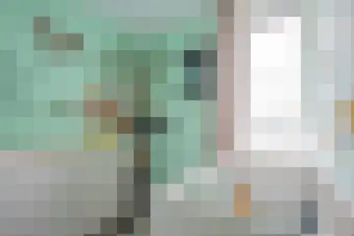 Daniëlshof 11 Heythuysen thumbnail 17