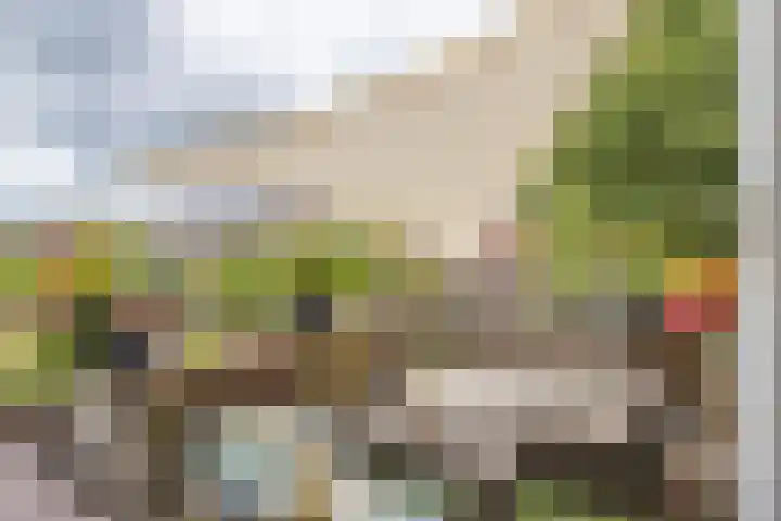 Daniëlshof 11 Heythuysen thumbnail 19