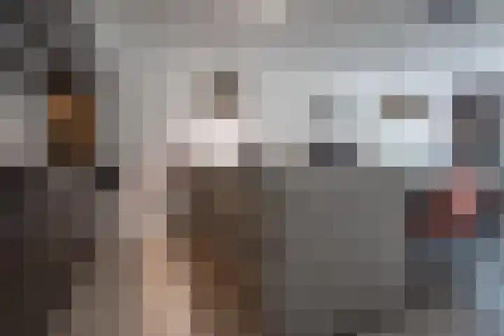 Daniëlshof 11 Heythuysen thumbnail 6