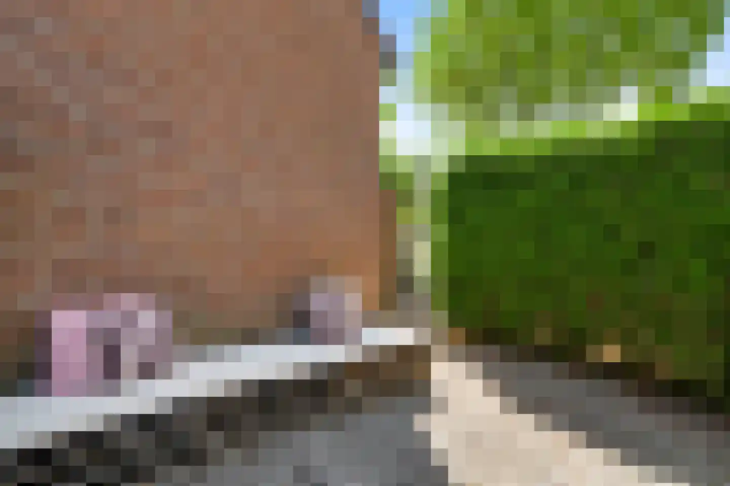 Daniëlshof 27 Heythuysen thumbnail 38
