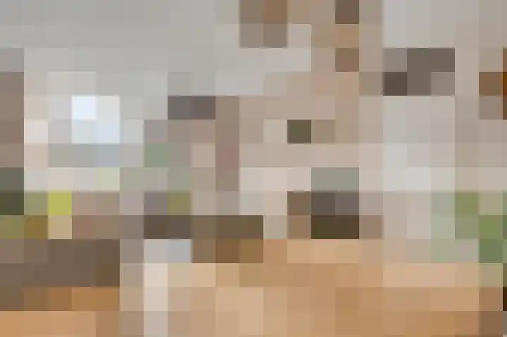 Daniëlshof 31 Heythuysen thumbnail 10