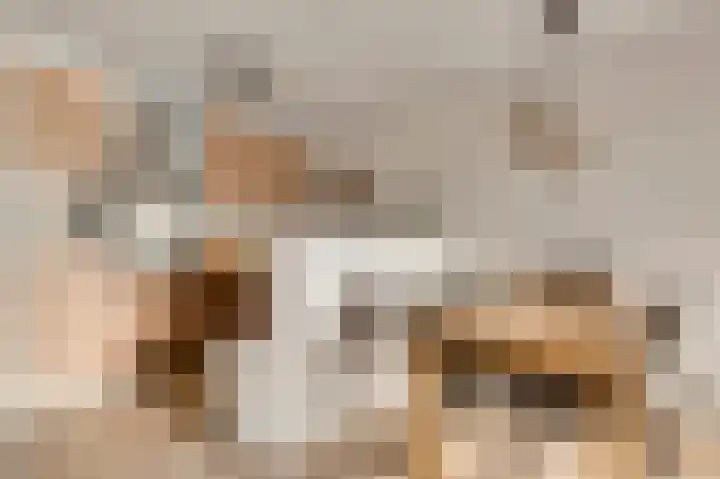Daniëlshof 31 Heythuysen thumbnail 12