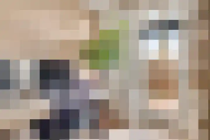Daniëlshof 31 Heythuysen thumbnail 21