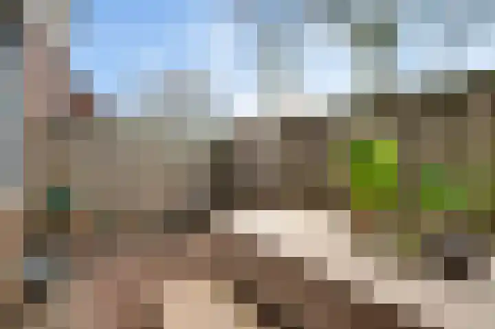 Daniëlshof 31 Heythuysen thumbnail 27