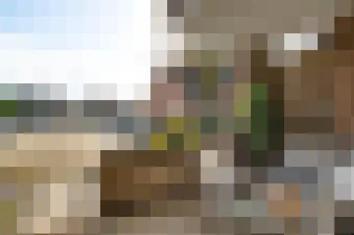 Daniëlshof 31 Heythuysen thumbnail 29