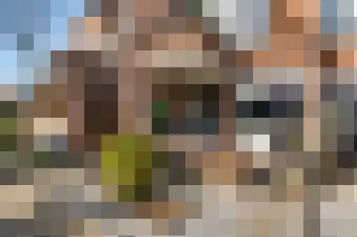 Daniëlshof 31 Heythuysen thumbnail 30