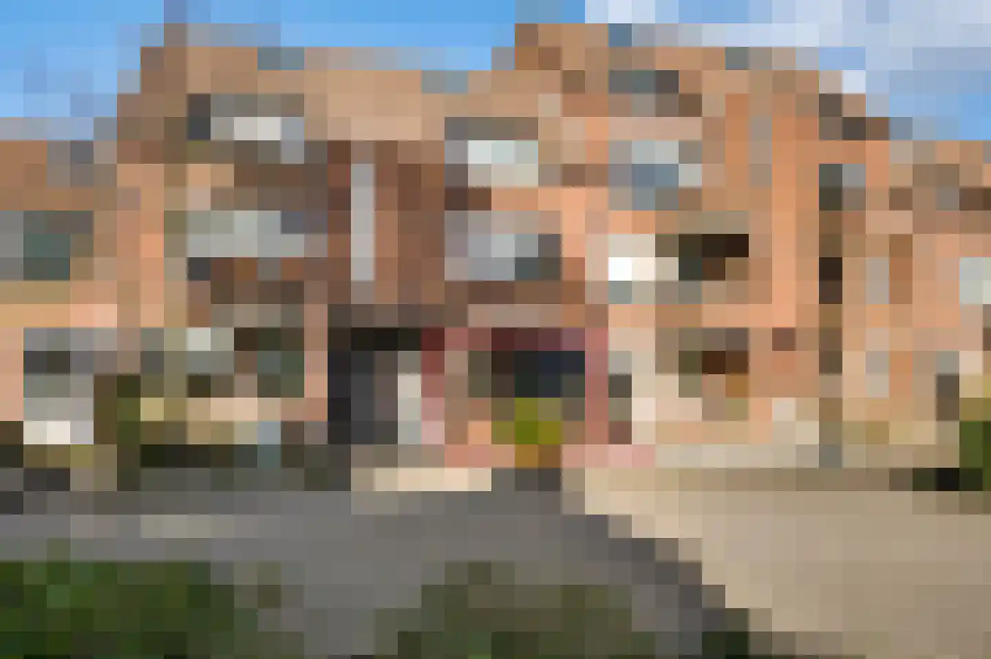 Daniëlshof 31 Heythuysen thumbnail 40