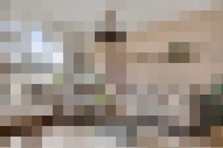 Daniëlshof 31 Heythuysen thumbnail 7