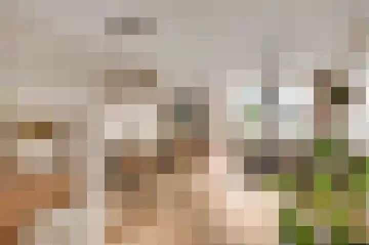 Daniëlshof 31 Heythuysen thumbnail 8