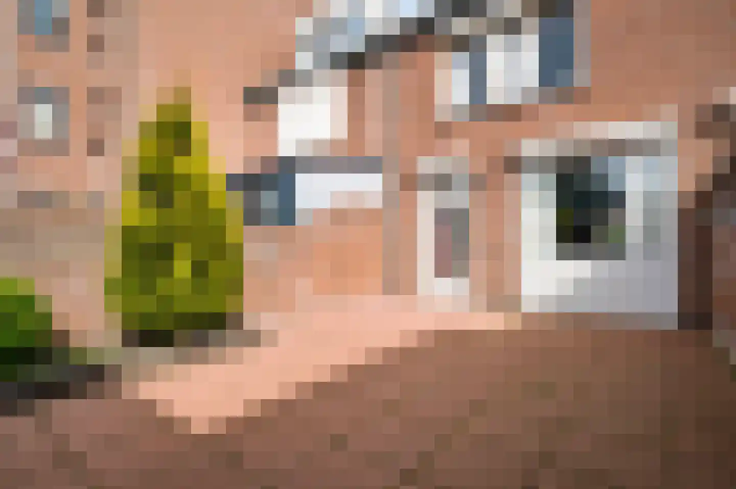 Daniëlshof 4 Heythuysen thumbnail 32