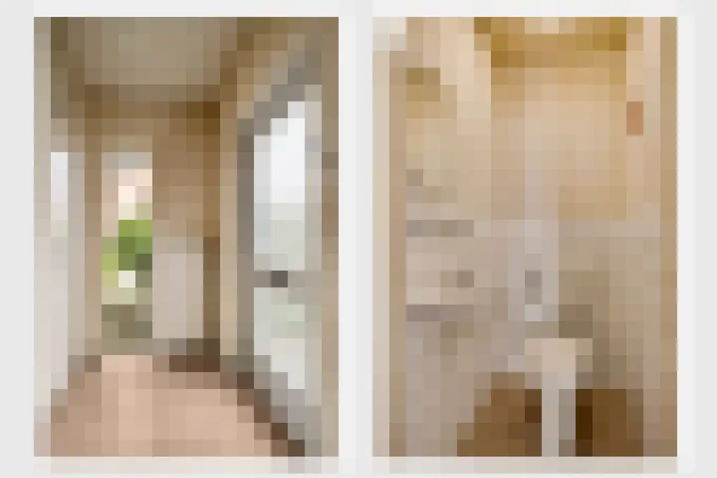 Daniëlshof 4 Heythuysen thumbnail 6
