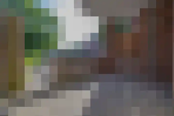 Daniëlshof 43 Heythuysen thumbnail 18