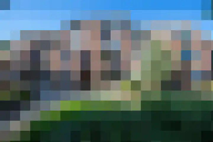 Daniëlshof 43 Heythuysen thumbnail 21