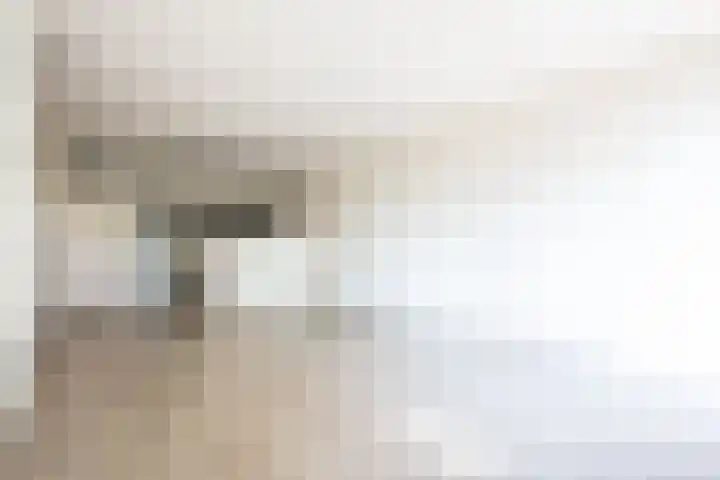 Daniëlshof 43 Heythuysen thumbnail 6