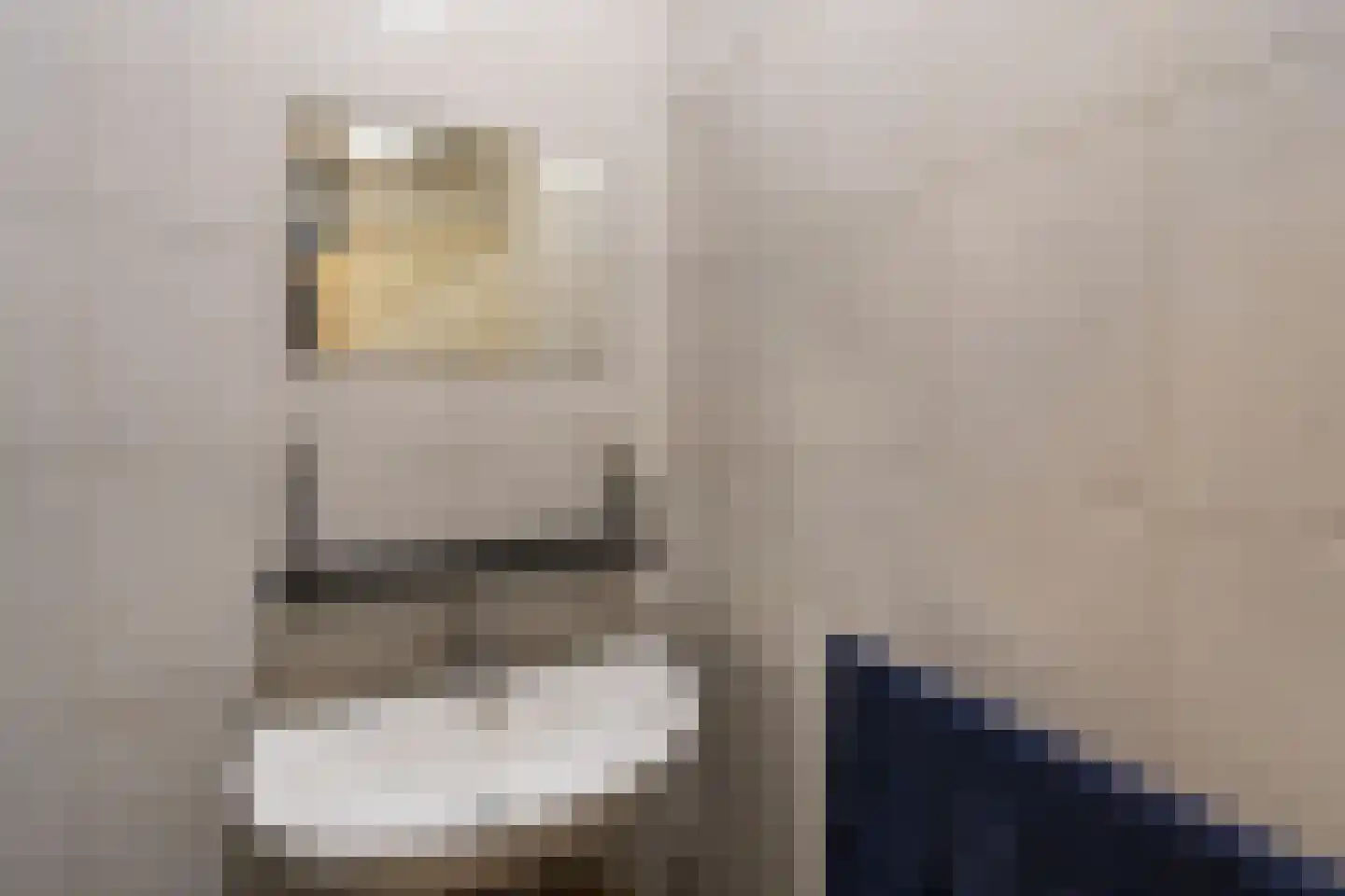 Daniëlshof 7 Heythuysen thumbnail 16