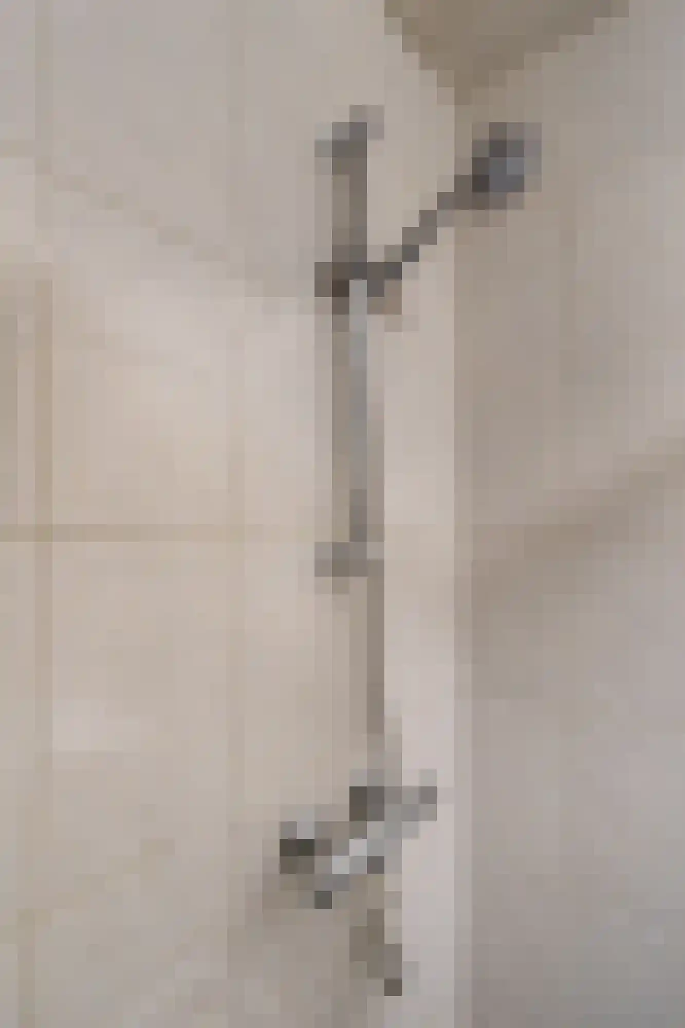 Daniëlshof 7 Heythuysen thumbnail 17