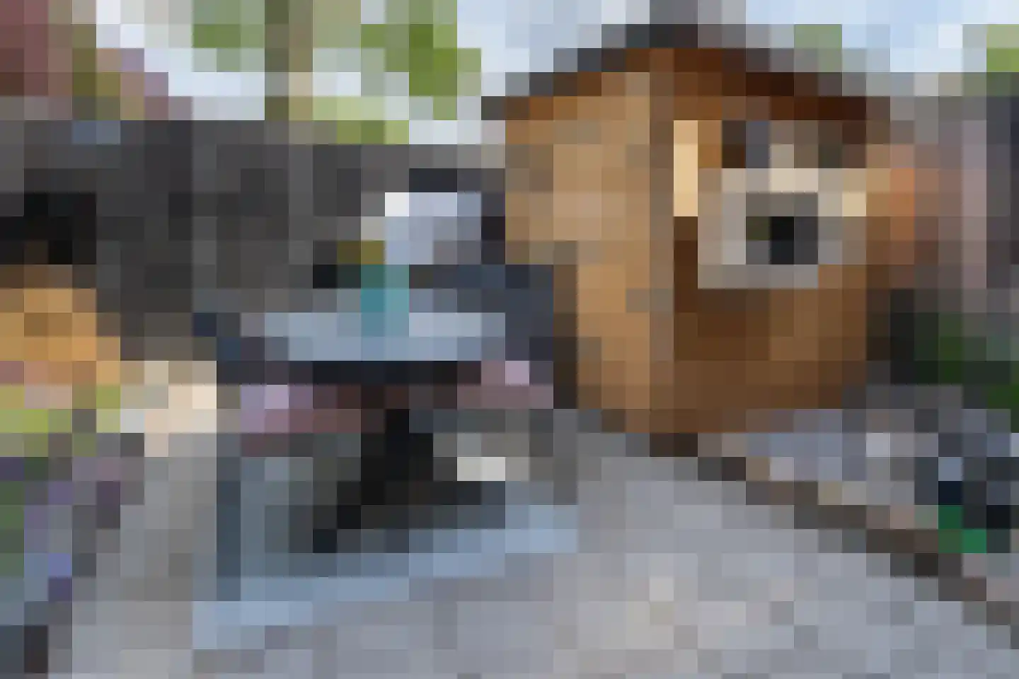 Daniëlshof 7 Heythuysen thumbnail 22