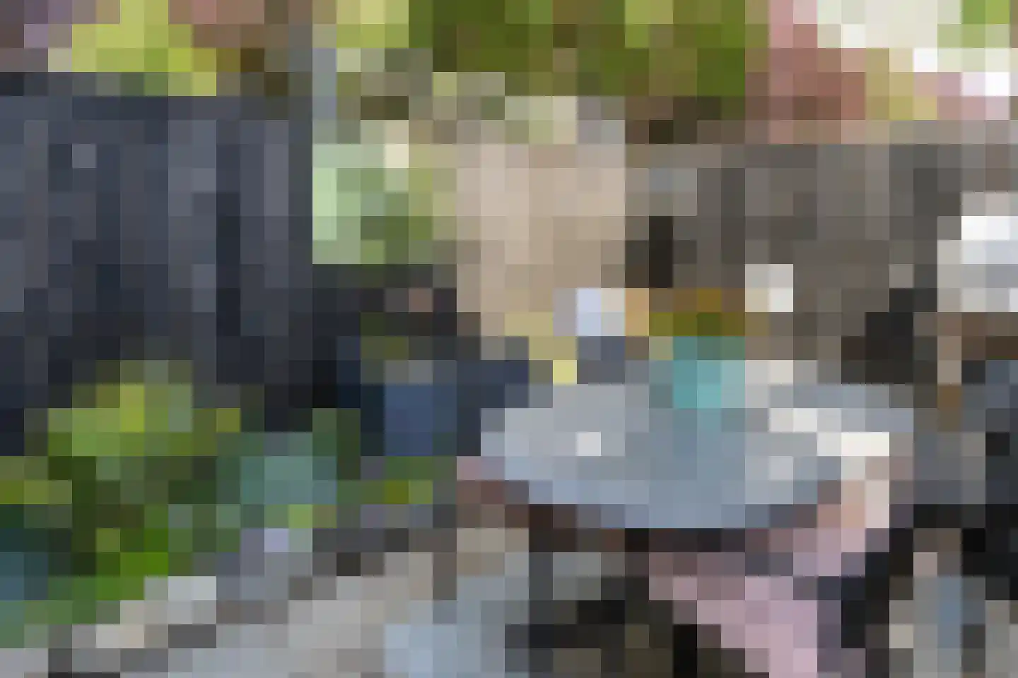 Daniëlshof 7 Heythuysen thumbnail 23