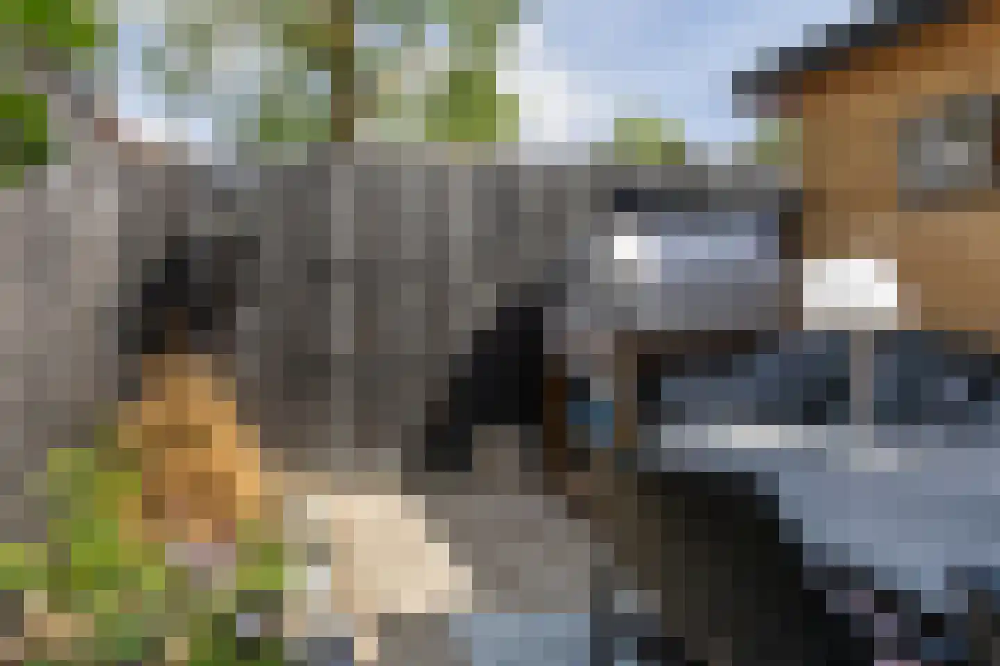 Daniëlshof 7 Heythuysen thumbnail 24