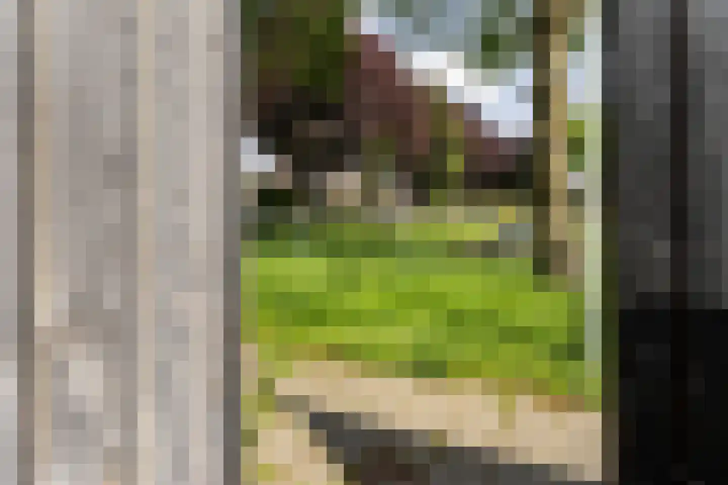 Daniëlshof 7 Heythuysen thumbnail 25