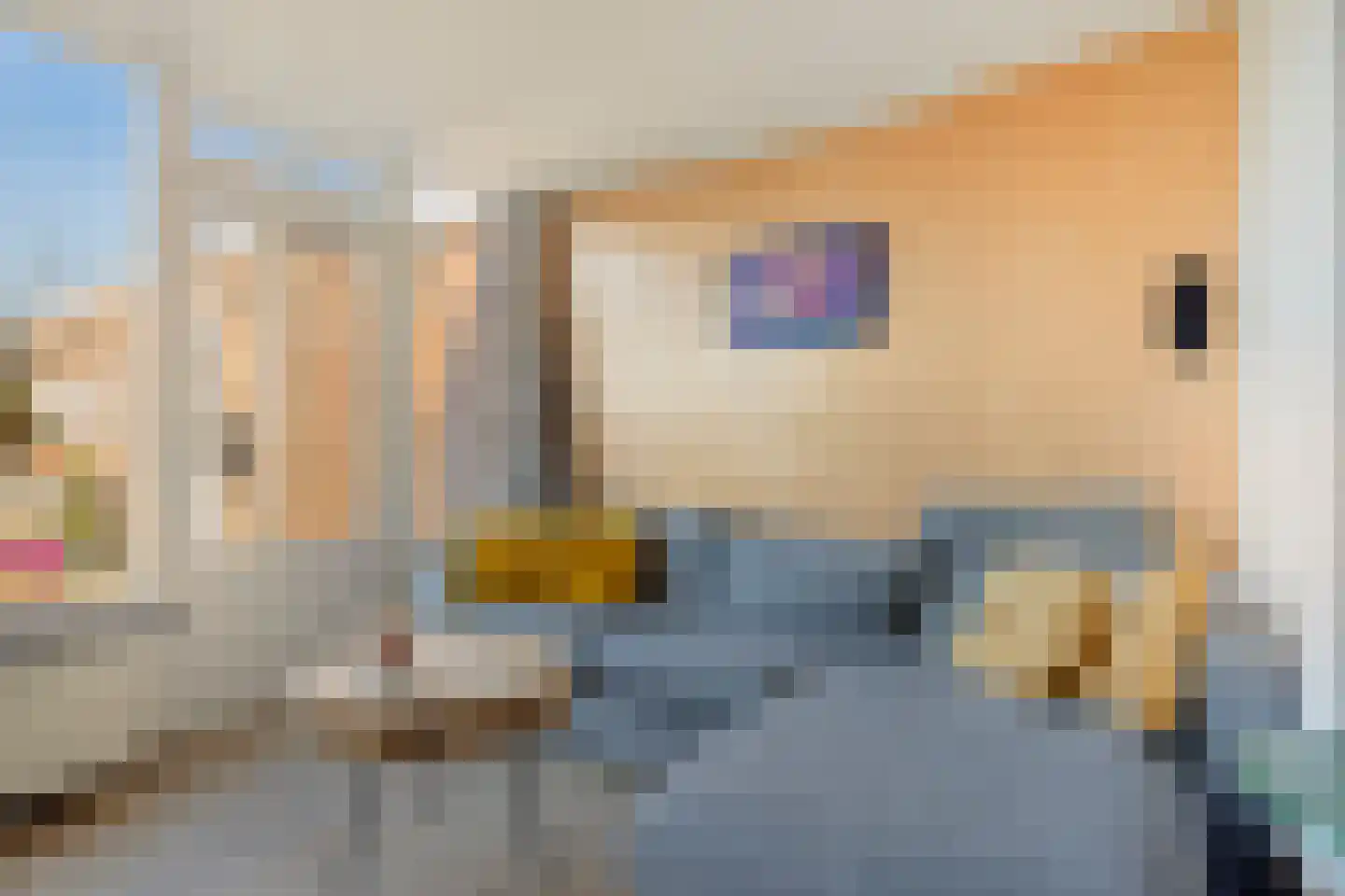 Daniëlstraat 10 Langeweg thumbnail 20