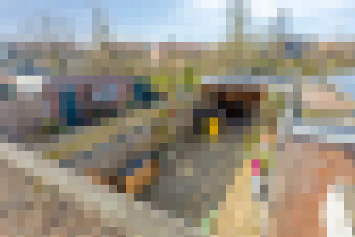Daniëlstraat 10 Langeweg thumbnail 50