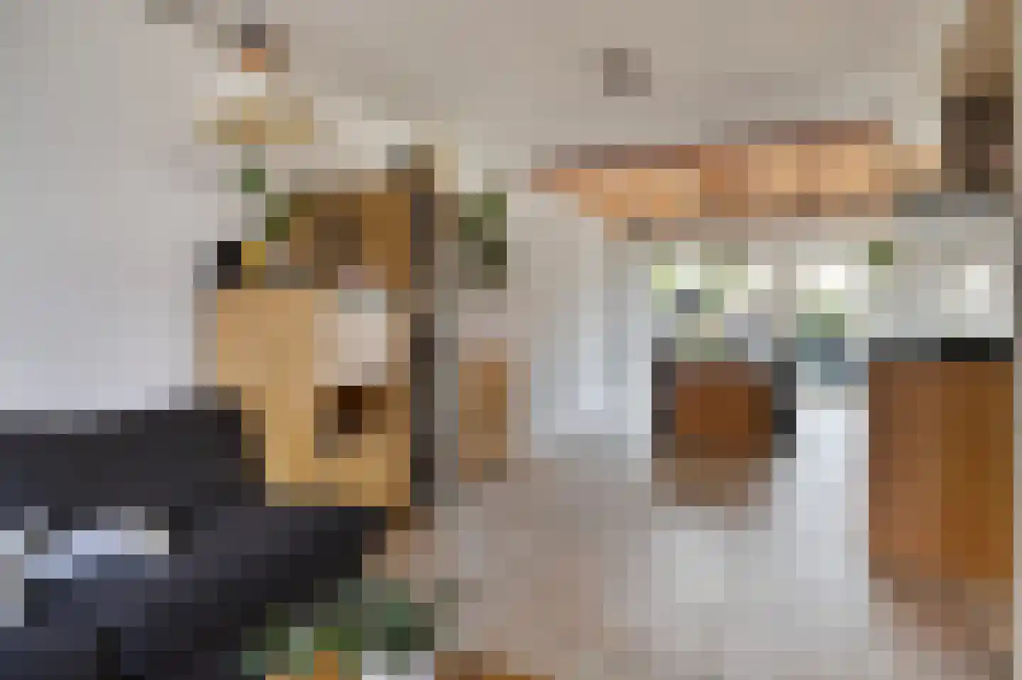 Daniëlstraat 14 Langeweg thumbnail 9