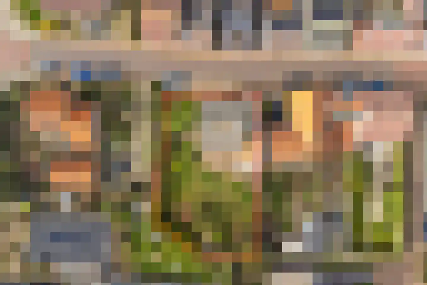 Daniëlstraat 14 Wemeldinge thumbnail 38