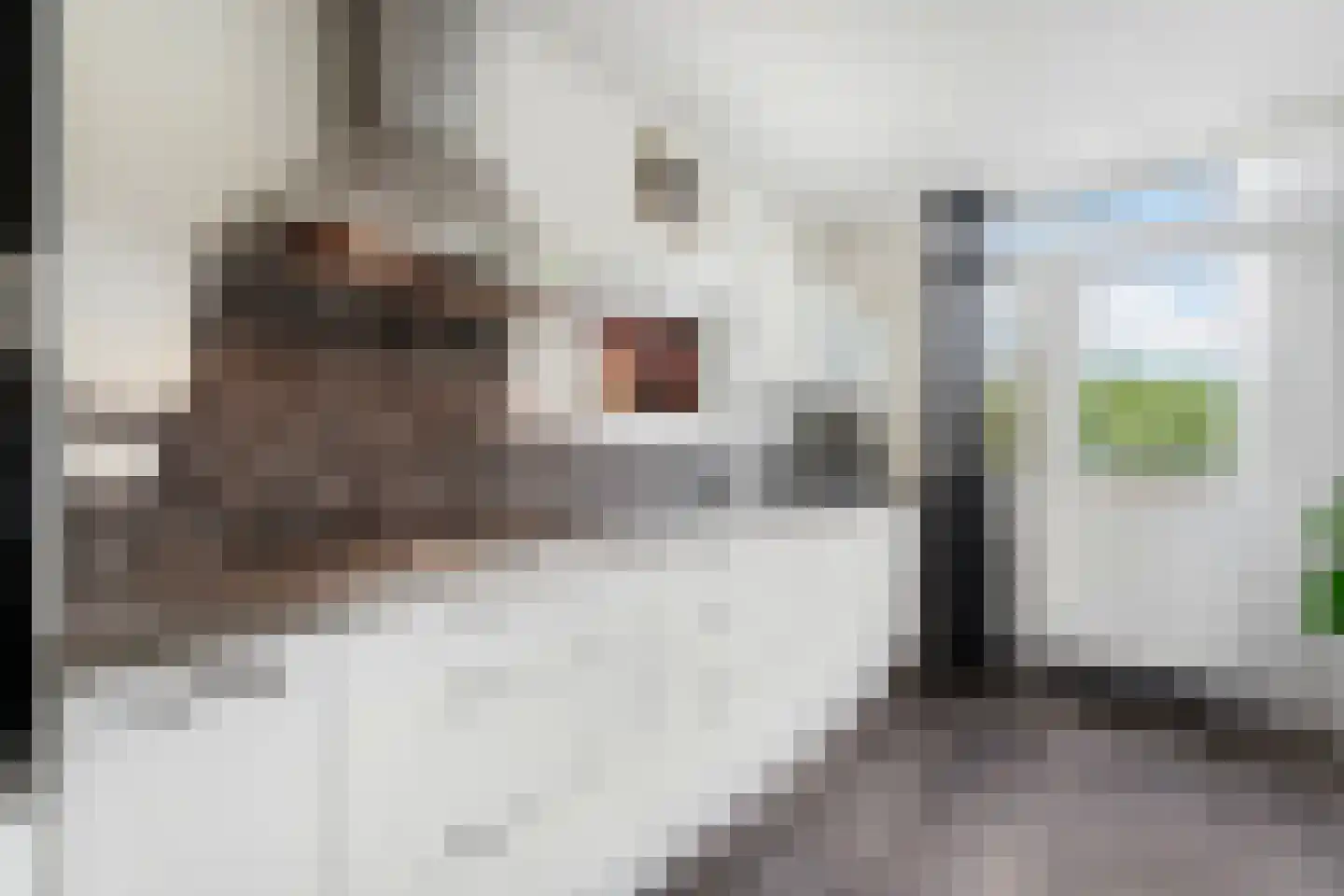 Daniëlsweg 48 Nijmegen thumbnail 11