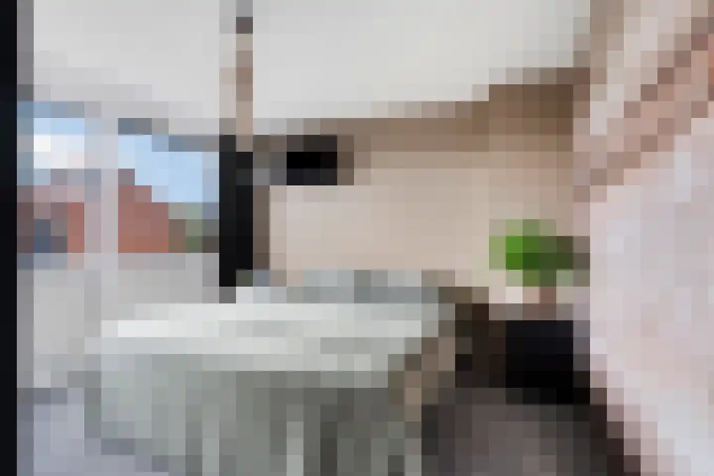 Daniëlsweg 48 Nijmegen thumbnail 15