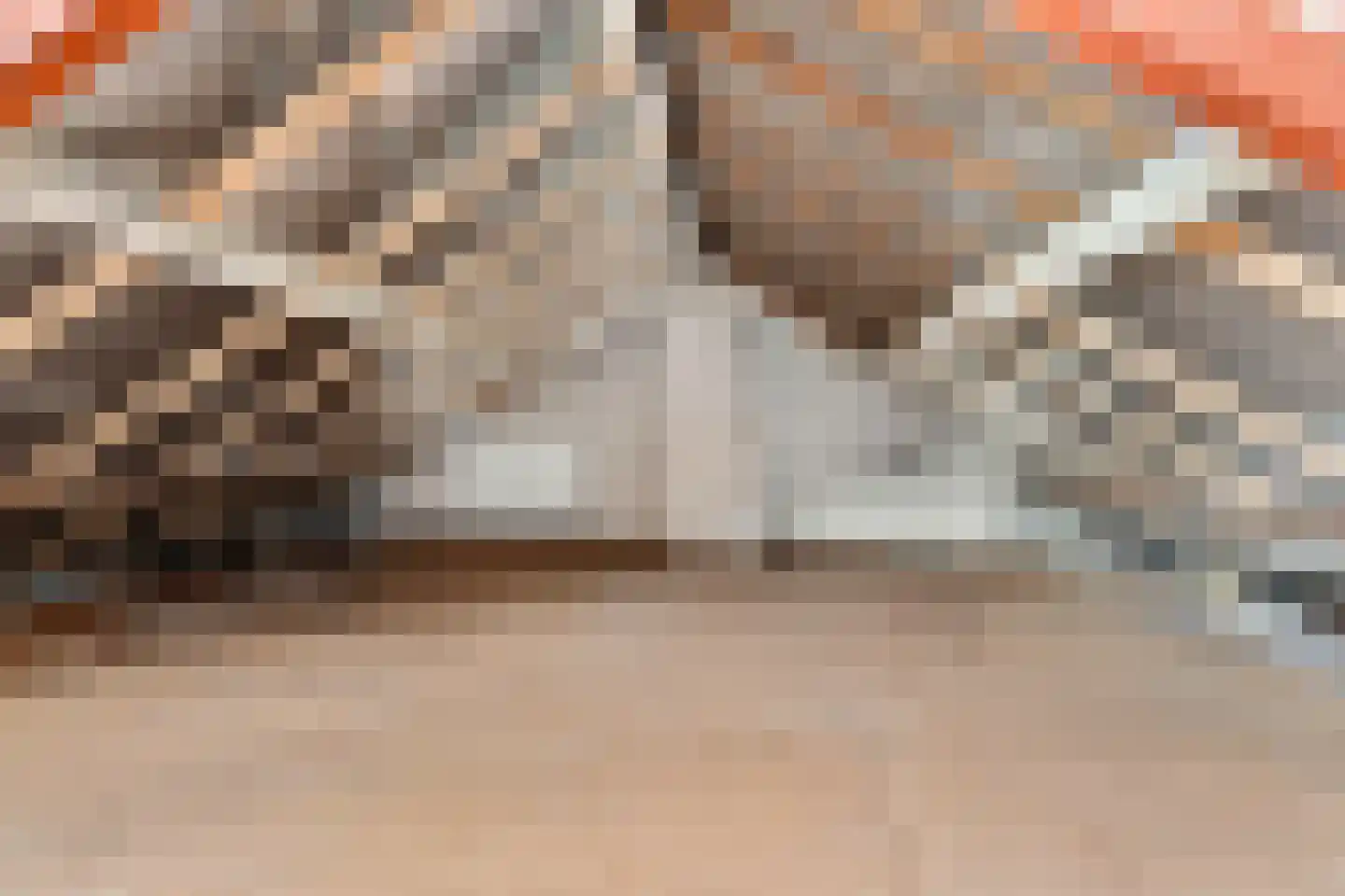 Daniëlsweg 48 Nijmegen thumbnail 23