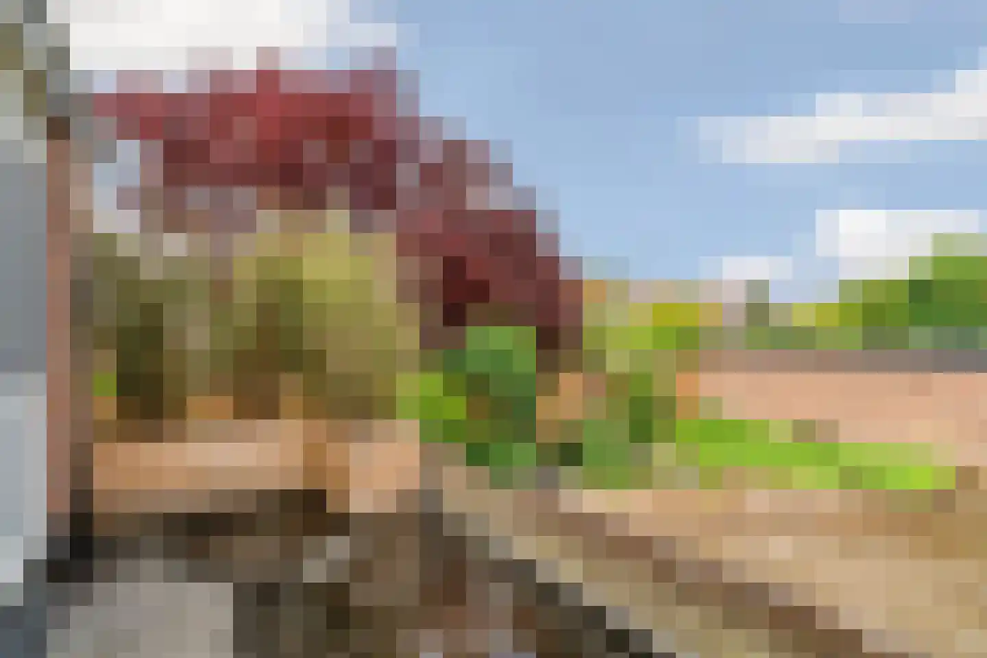 Daniëlsweg 48 Nijmegen thumbnail 25