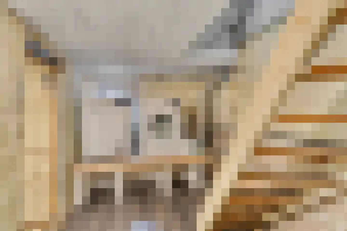 Daniëlsweg 48 Nijmegen thumbnail 29