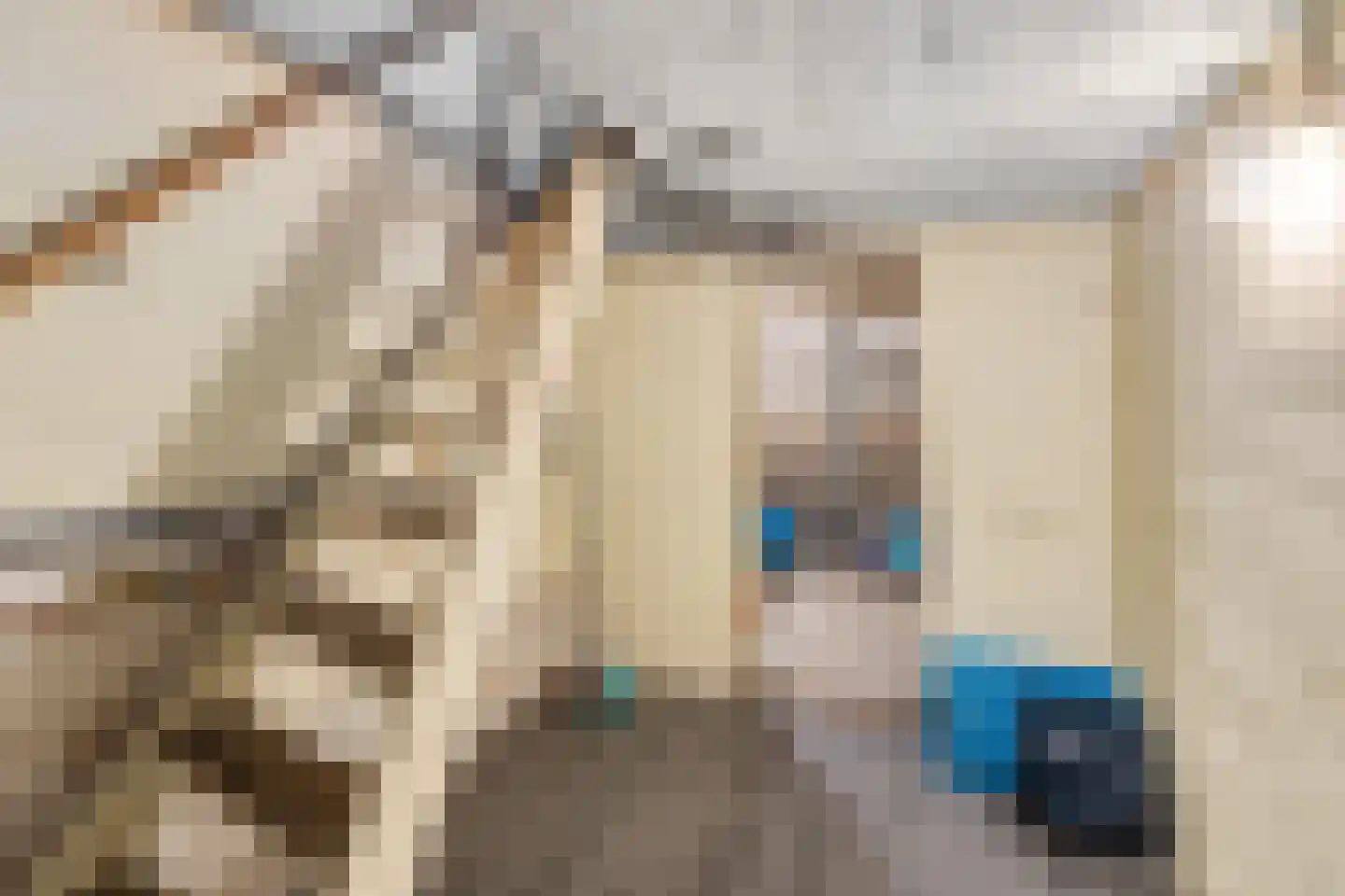 Daniëlsweg 48 Nijmegen thumbnail 30