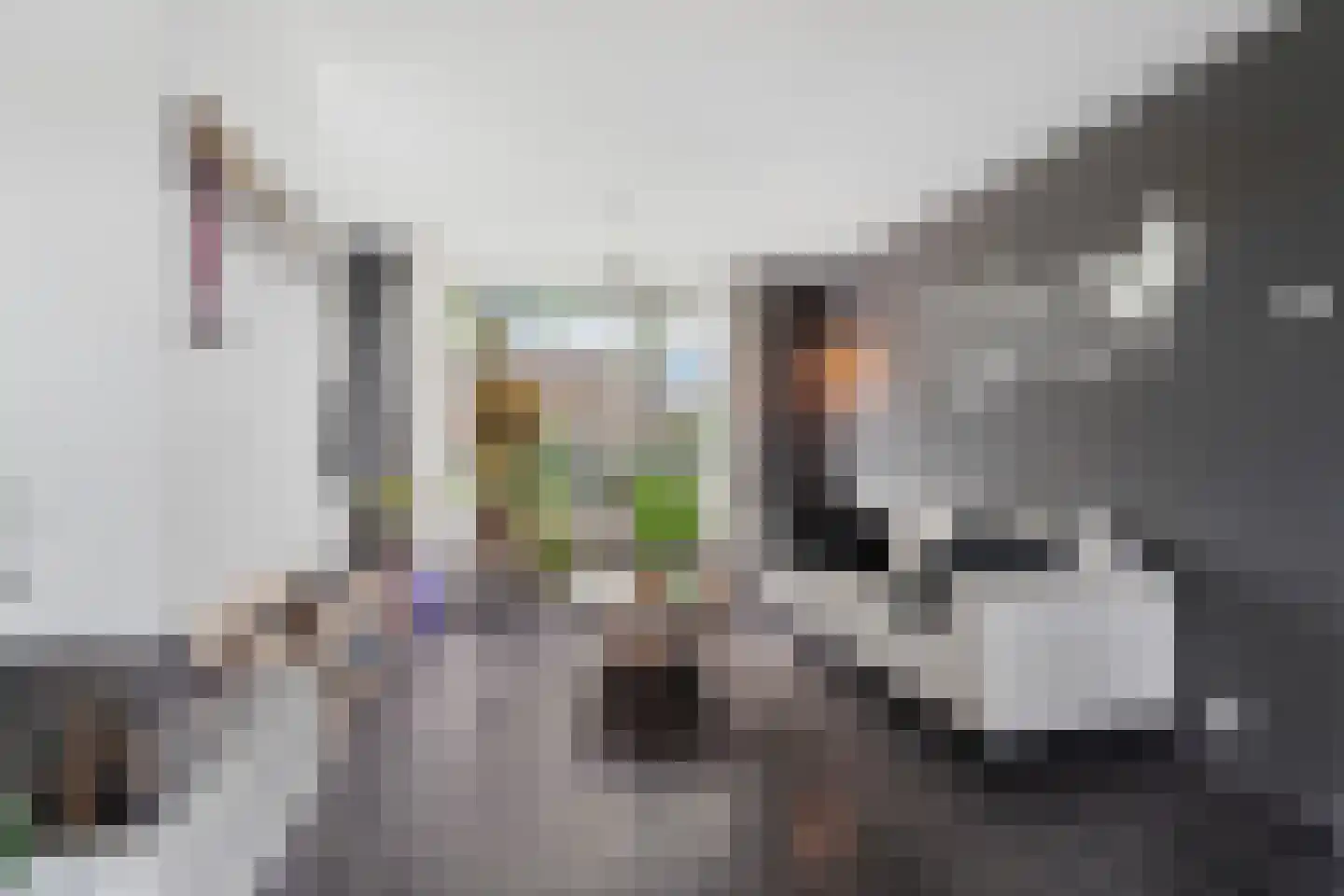 Daniëlsweg 48 Nijmegen thumbnail 7