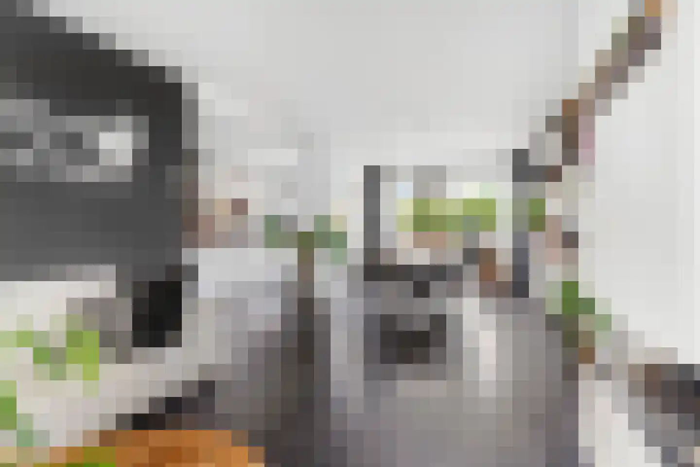 Daniëlsweg 48 Nijmegen thumbnail 8