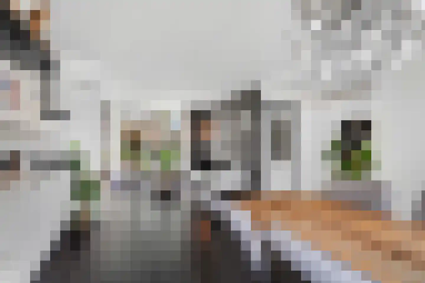 Daniëlsweg 48 Nijmegen thumbnail 9